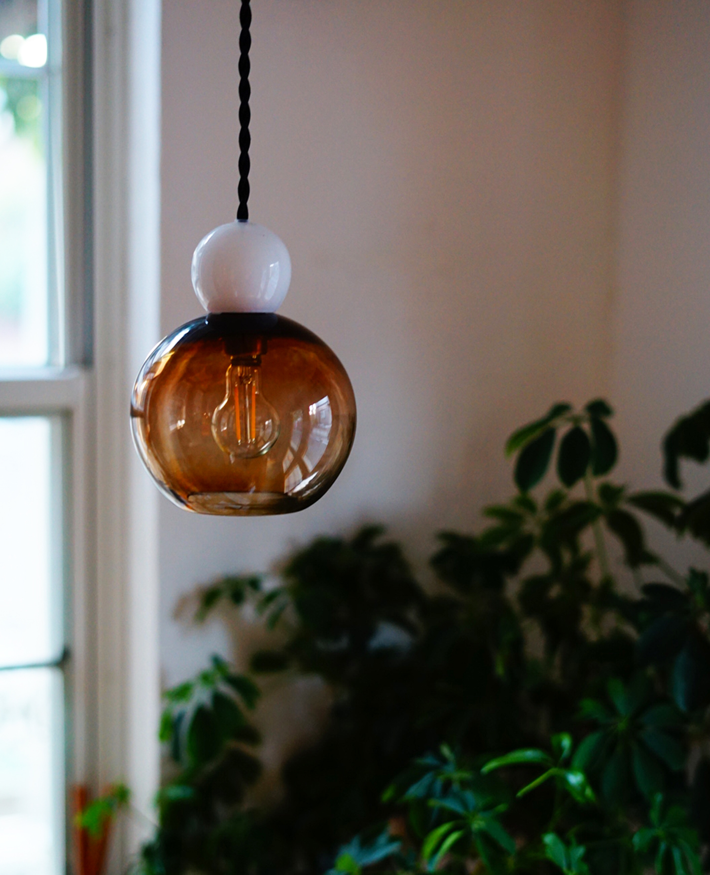 �䤵��������β�����ľ�ʴ�����ܤ������